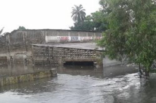 Article : Kinshasa : des pleurs après la pluie