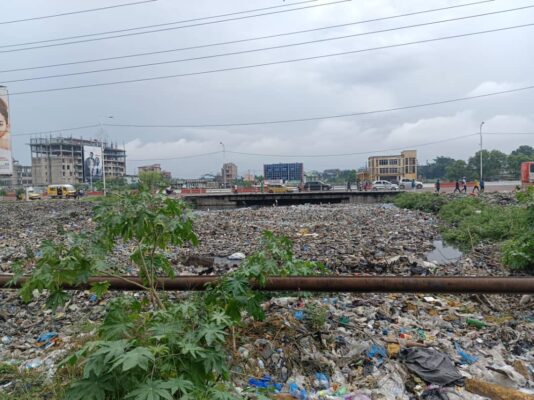 Article : Kinshasa, une ville noyée sous les déchets